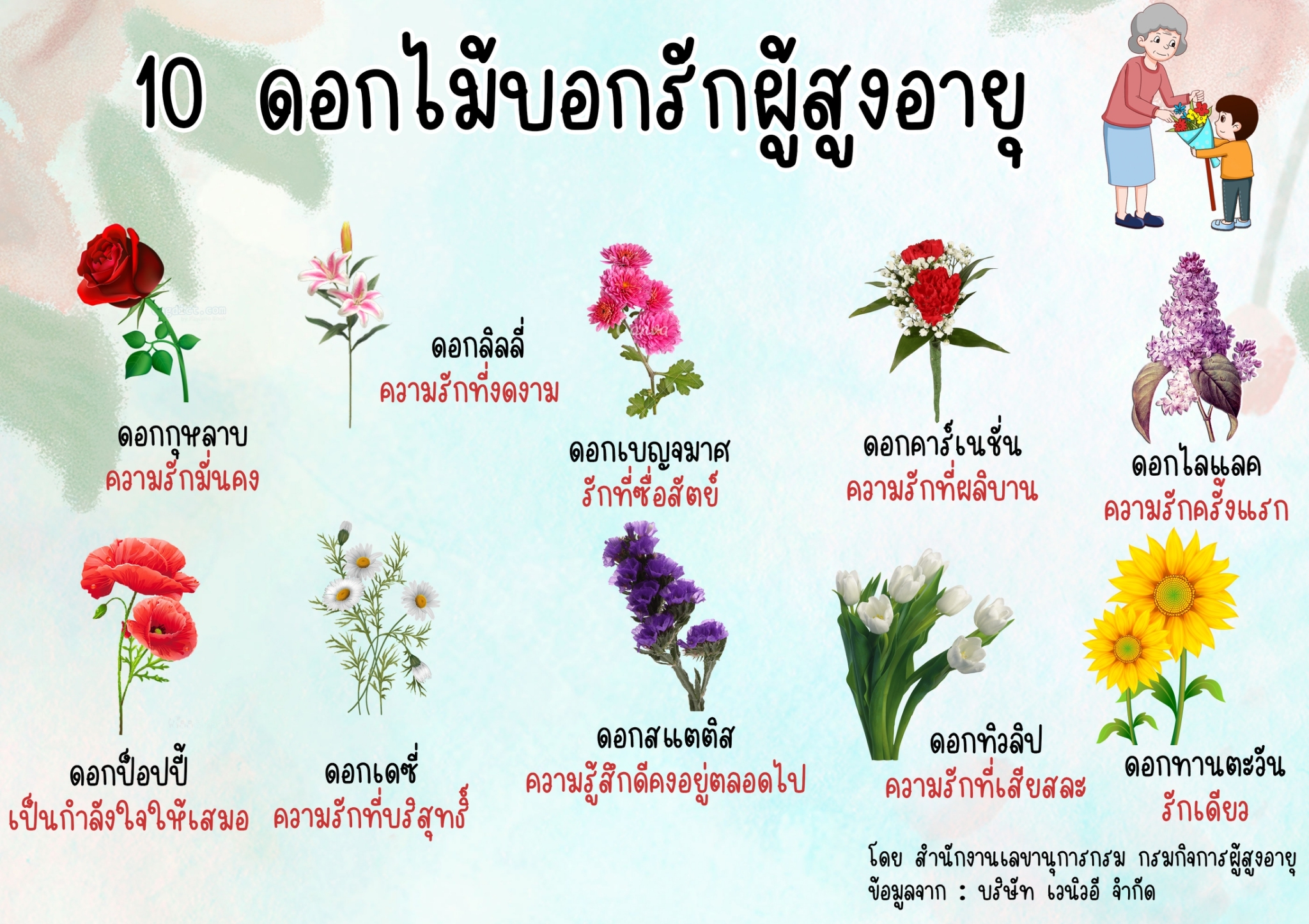10 ดอกไม้บอกรักผู้สูงอายุ